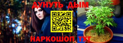 эйфоретик Малгобек