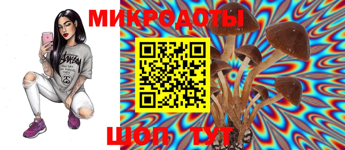 Галлюциногенные грибы Cubensis  Вход с VPN  Осинники 